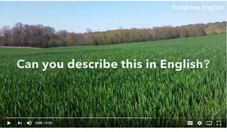 How To Describe Grass Blowing In The Wind – Free Video English Lesson